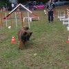 foire-haricots 2011-09-17et18